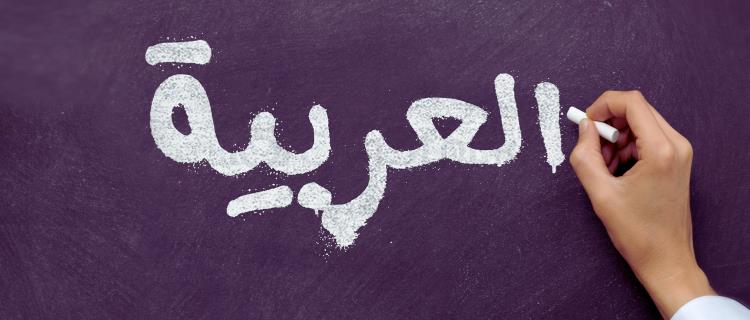 Learn Arabic In Dubai